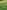 Electric grass pitch