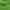 Astro Turf electric hardstanding and grass tent or campervan pitch