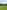 Non-electric grass tent pitch
