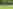 Non-electric grass tent or trailer tent pitch