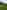 Electric grass pitch