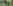 Non-electric grass tent pitch (three person)