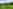 Non-electric grass tent pitch
