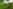 Unpowered grass site