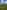 Non-electric grass and earth tent or trailer tent pitch (wild)