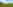 Non-electric grass tent pitch