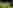 Dafyyd non-electric grass and earth tent pitch