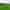 Non-electric grass tent, trailer tent or campervan pitch