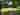 Emma&#x27;s Glade non-electric grass tent or campervan pitch (no pets, wild)