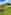 Buttercup bell tent (2 adults and 3 children)