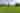 Powered grass site