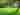 Powered grass tent or trailer tent site (large)