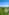 Primitive grass site (sloping)