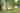 Eco Lodge 2 bedroom rental tent