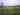 Wild forest non-electric grass tent pitch (secluded)