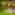 Non-electric grass pitch (adults only)
