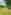 Non-electric grass tent, trailer tent or campervan pitch (large)