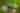 2 bedroom cottage / chalet / bungalow