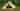 Willow bell tent (maximum 2 adults)