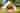 Bell tent