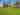 Electric grass and earth tent pitch