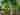 Non-electric grass tent pitch (medium)