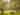 Mini chalet Glamping pod (2 adulti e 2 bambini, massimo 2 adulti)