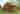 1 bedroom cottage / chalet / bungalow
