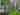 Electric grass tent pitch (medium)