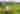 Unpowered grass tent, trailer tent or campervan site