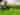 Non-electric grass tent pitch (secluded, two person)