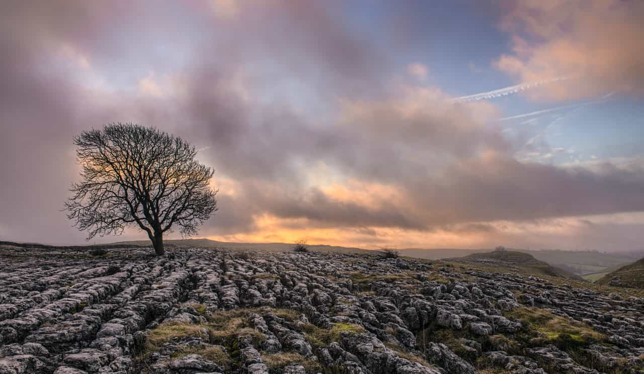 Limestone pavement above Malham Cove (v2osk/Unsplash)