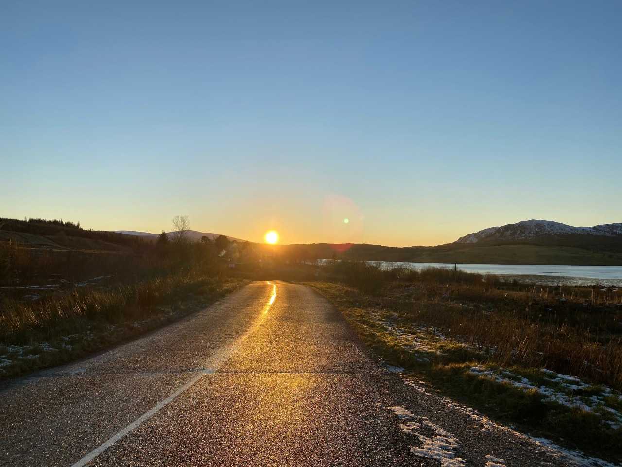 Galloway Forest Park (Jody Hodnett / Unsplash]