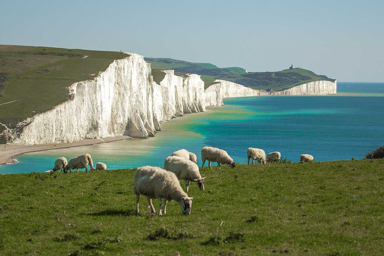 The spectacular Seven Sisters cliffs are a haven for nesting seabirds (Diego Torres/Pixabay)