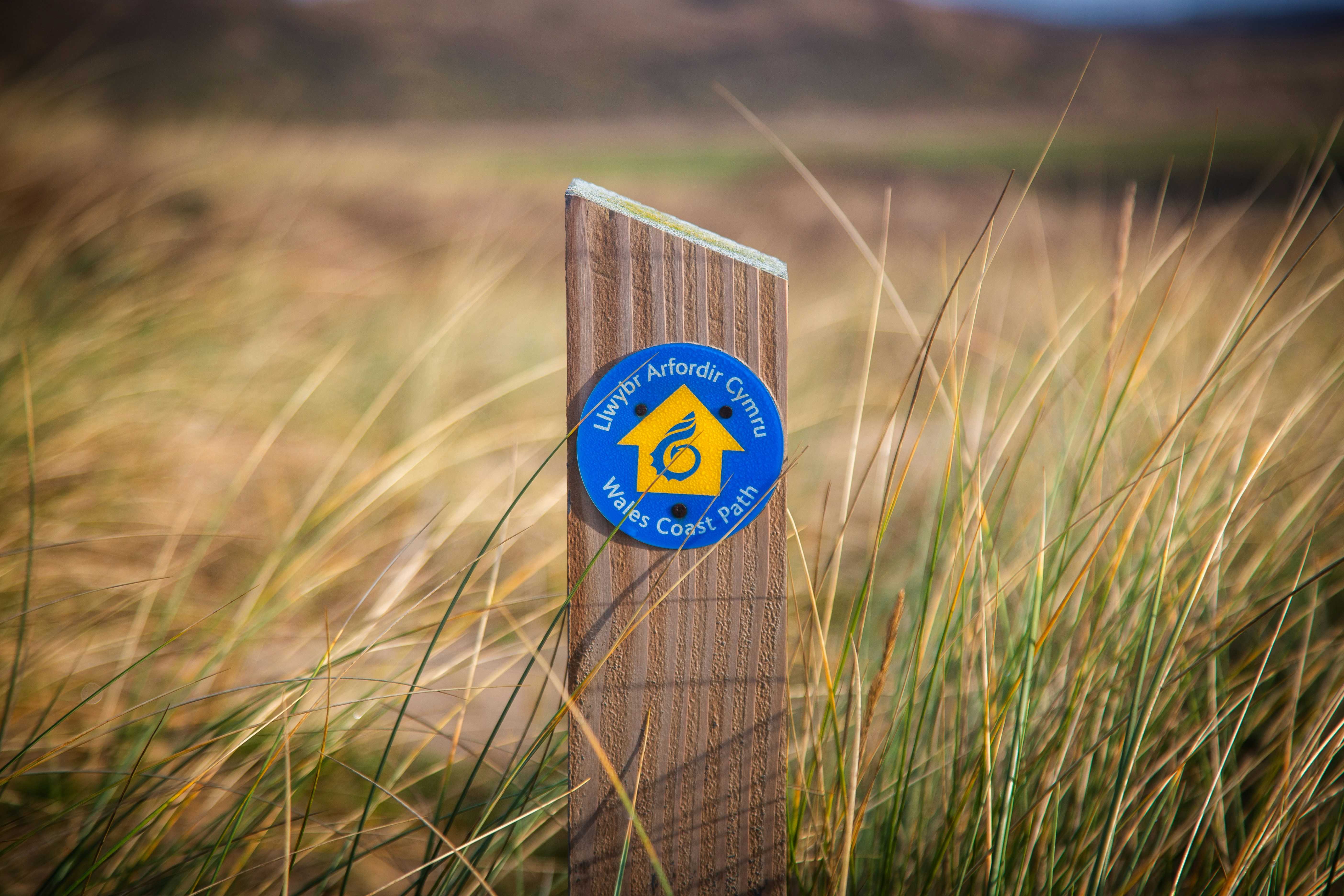 Follow the coast path signs for a great walk in Ceredigion (Mike Erskine/Unsplash)
