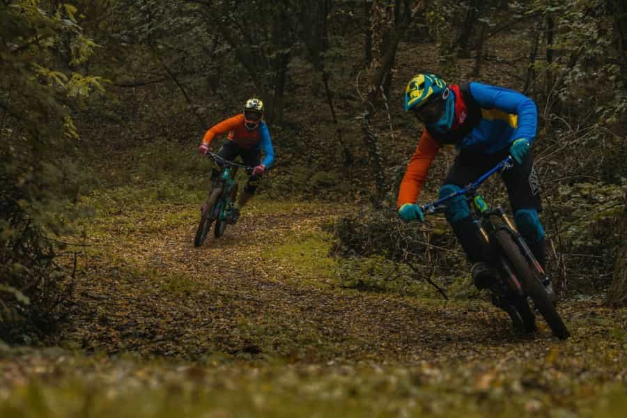 Mountain Biking in South Downs National Park Pitchup