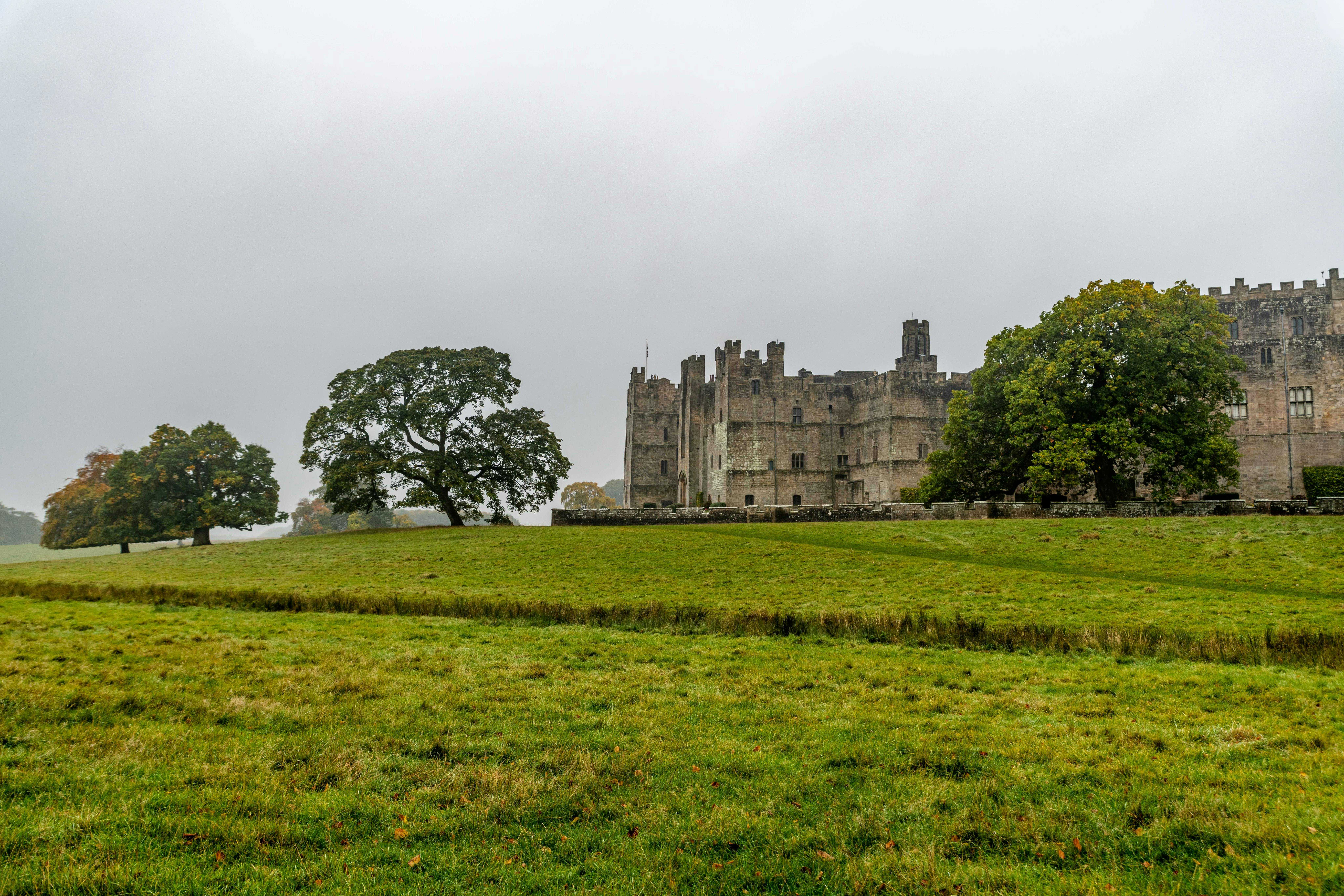 Raby Castle viewed from the deer park (Frank Samet/Pexels)