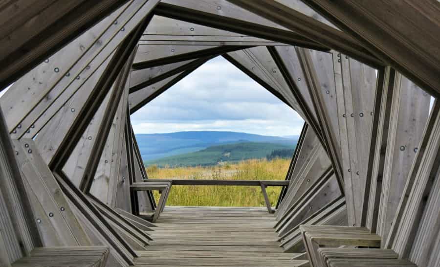 Viewpoint in Kielder Forest (Andrew Hall/Unsplash)