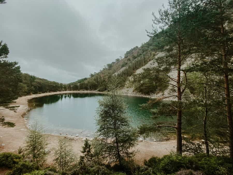 Scenery near Glenmore in the western Cairngorms (Eleanor Brooke/Unsplash)