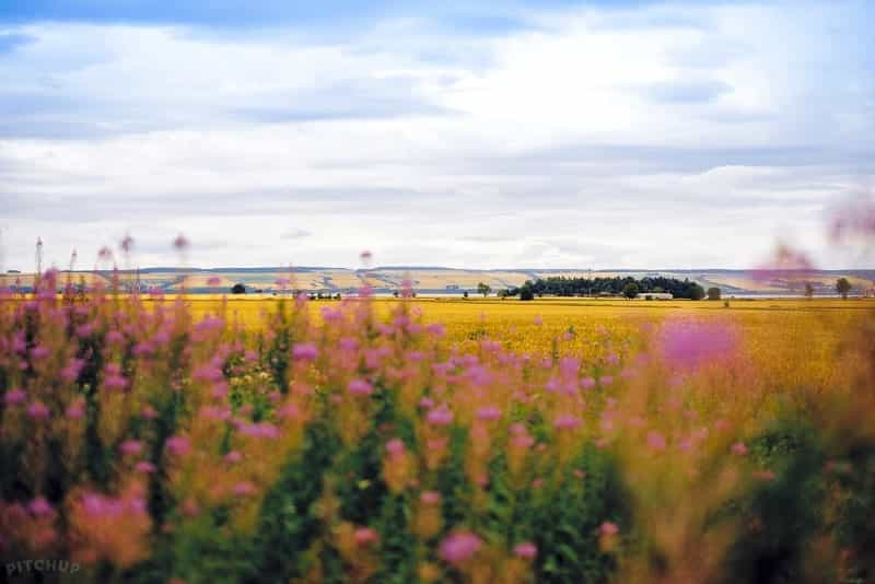 These are the stunning views you could get from your campsite on the NC500 (Pitchup)