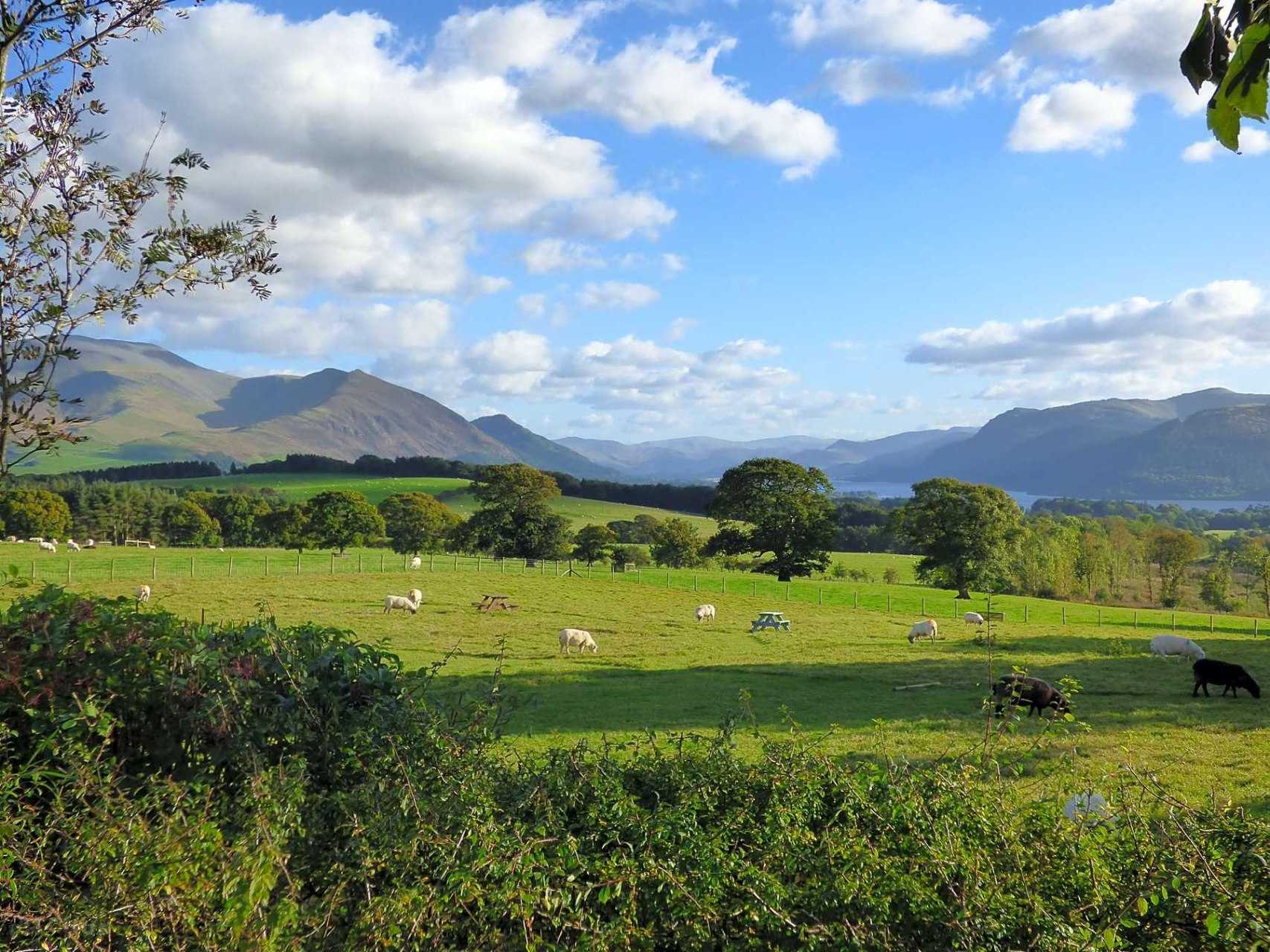 Camping in the Lake District