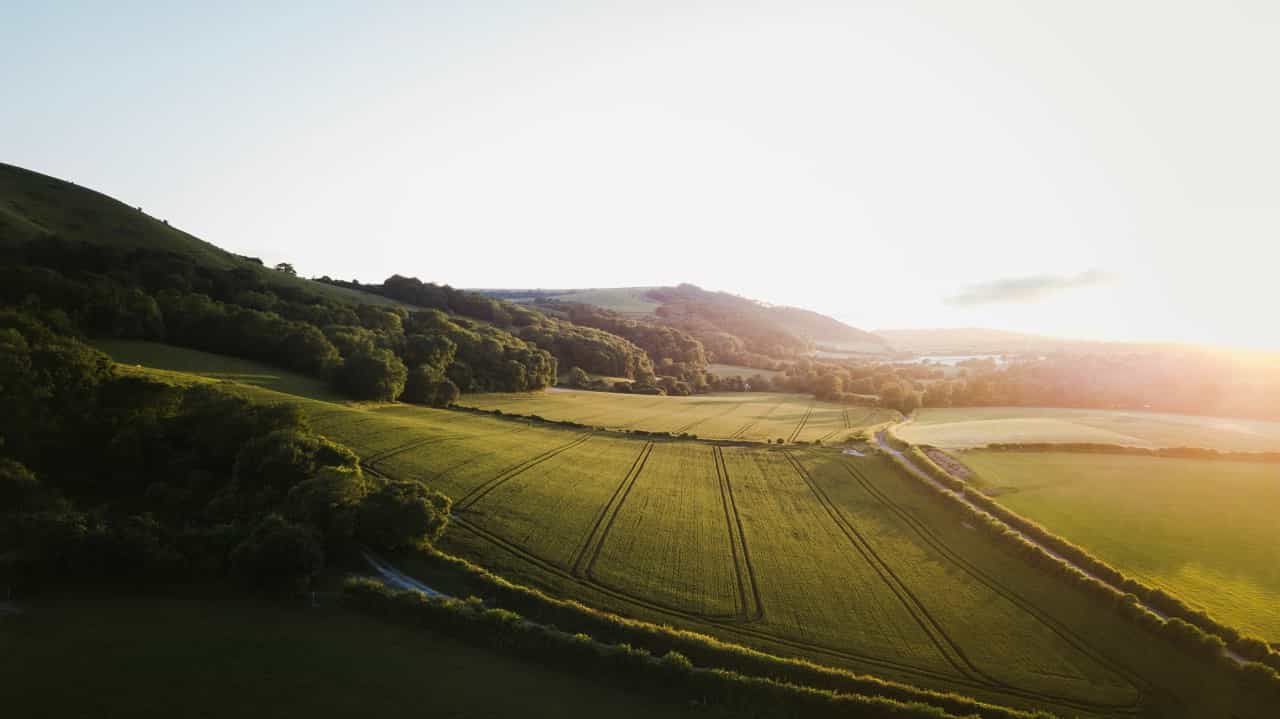 The green hills of the South Downs National Park (Sam Knight/Unsplash)