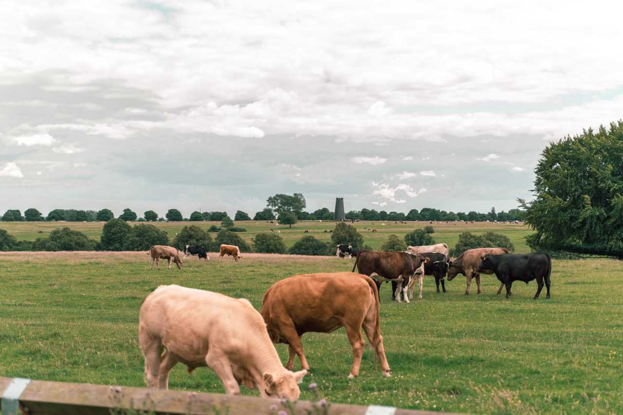 The rural farmland of East Yorkshire