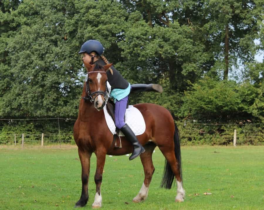 Children can learn to ride safely at Exmoor riding schools (Uki_71/Pixabay)