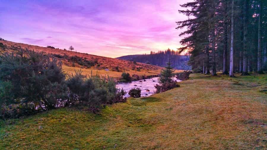 Gorgeous Bellever Forest is a joy to explore by bike (Daryuschandra/Pixabay)