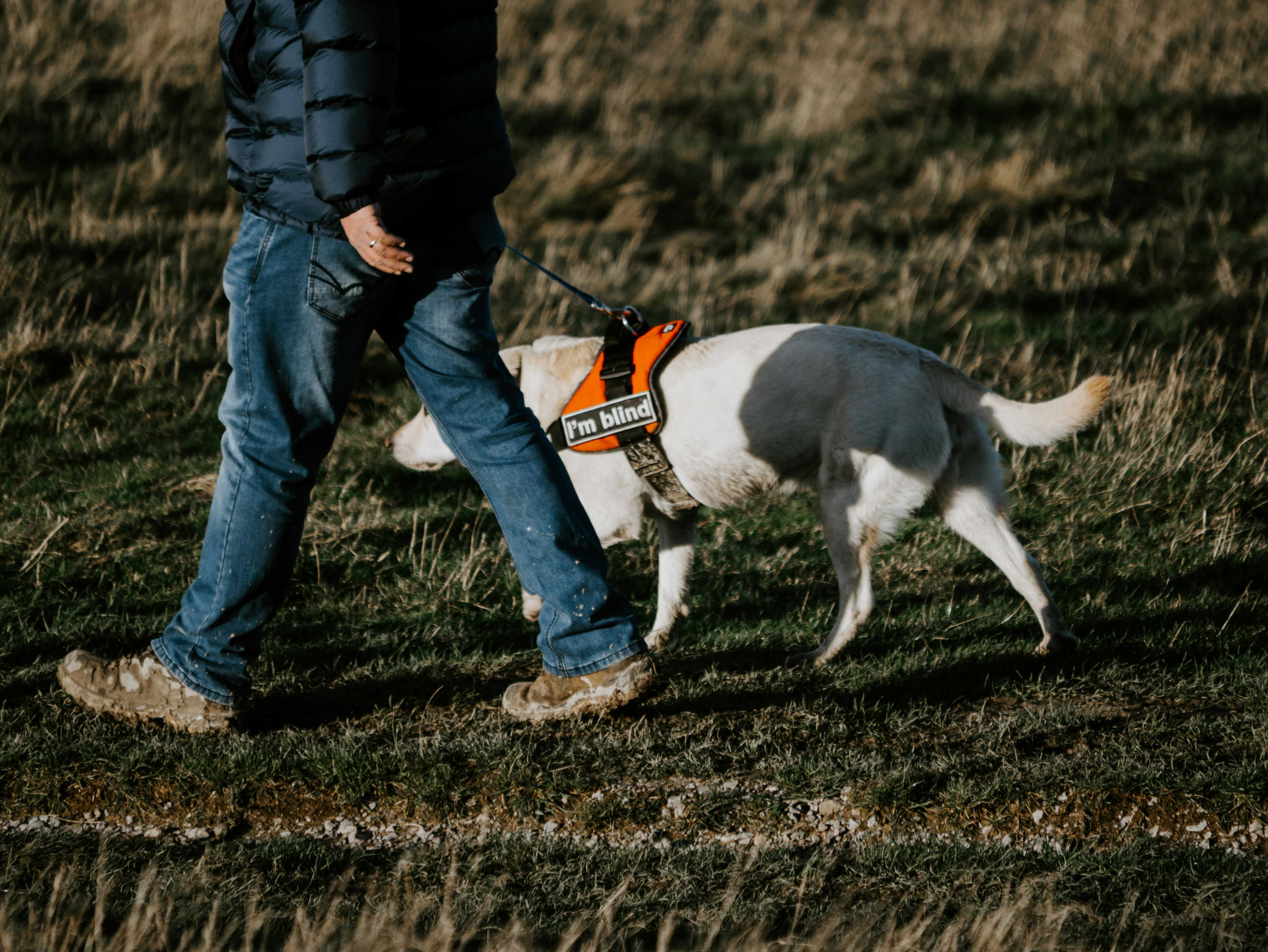 (Matt Seymour/Unsplash)