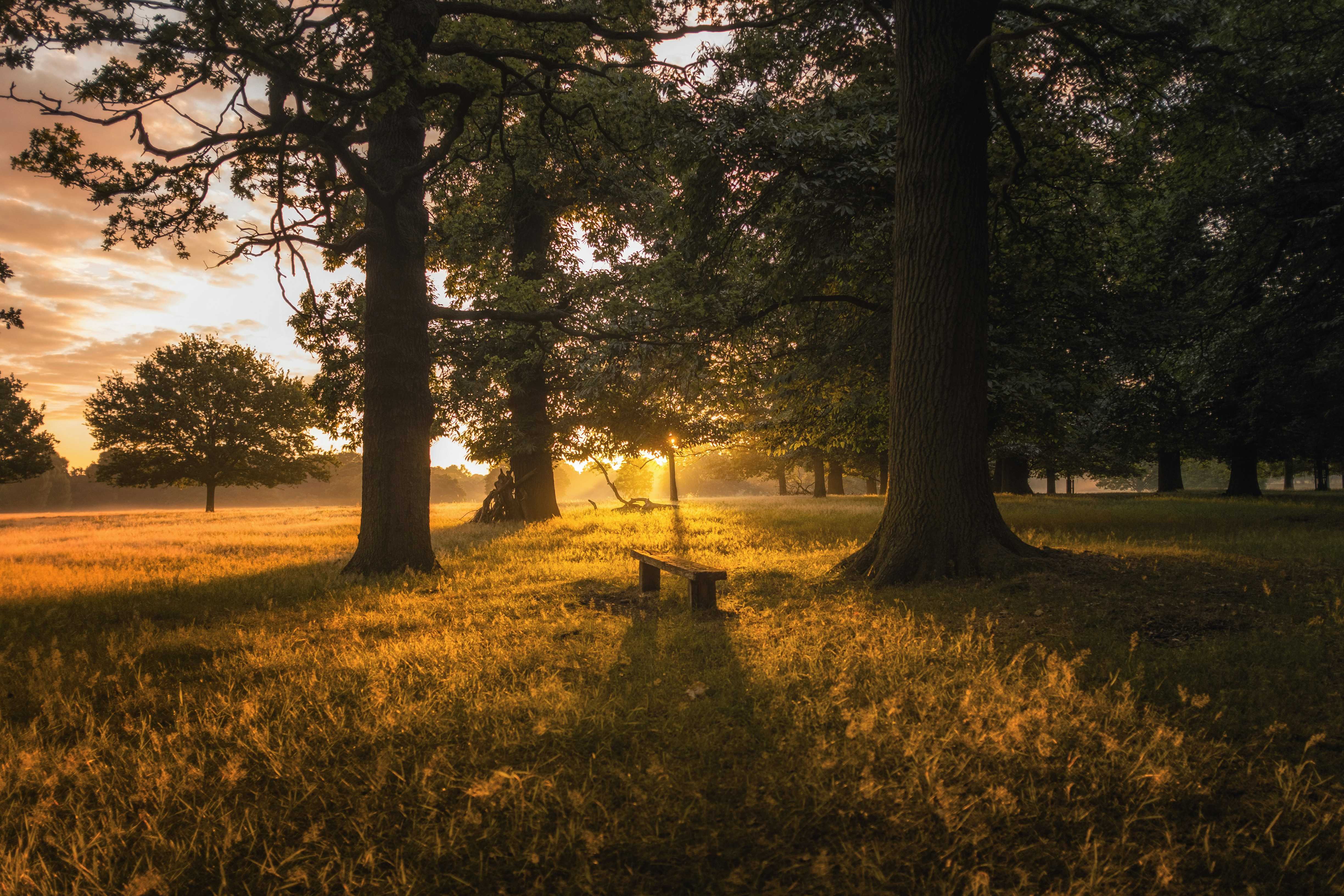 A country park walk is a wonderful way to get some fresh air at any time of day (Simon Wilkes/Unsplash)
