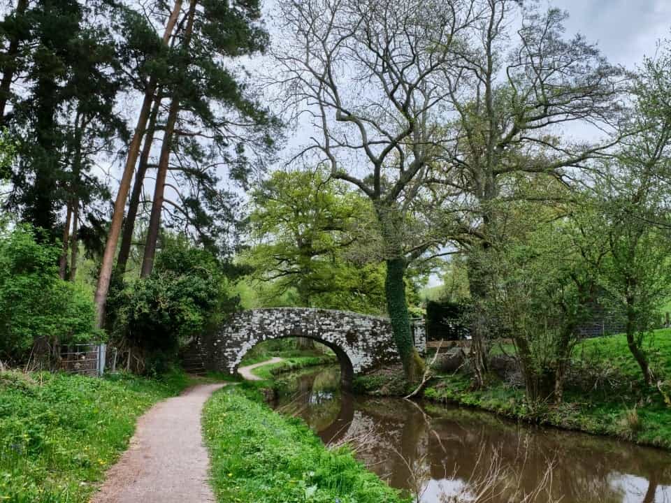 Bridge over canal surrounded by trees