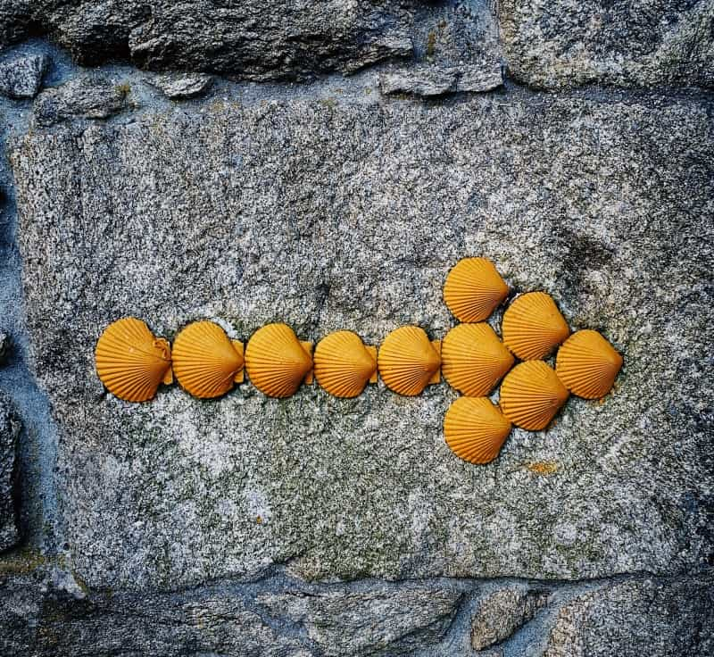 Yellow arrows shaped by scallop shells on the Camino route (Jon Tyson / Unsplash)