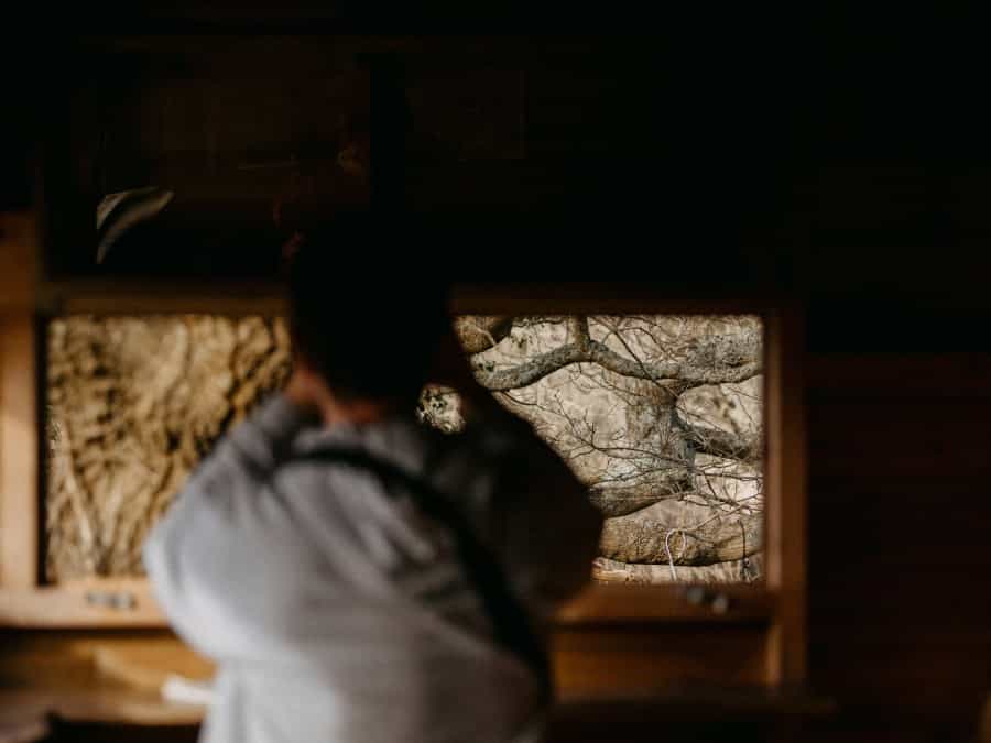 Bird hides are a great place for wildlife photography (Annie Spratt/Unsplash)